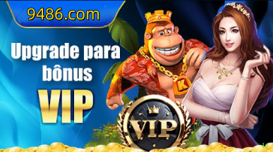 Programa VIP 1d